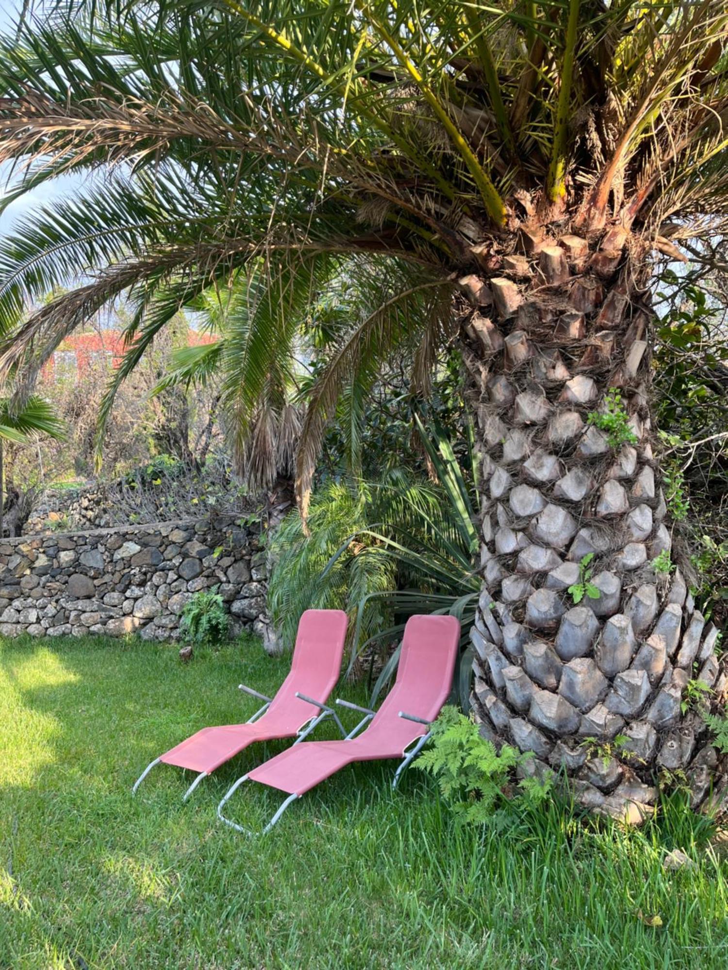 Feriendomizil Finca Tijarafe Mit Beheiztem, Abdeckbarem Pool Exteriör bild
