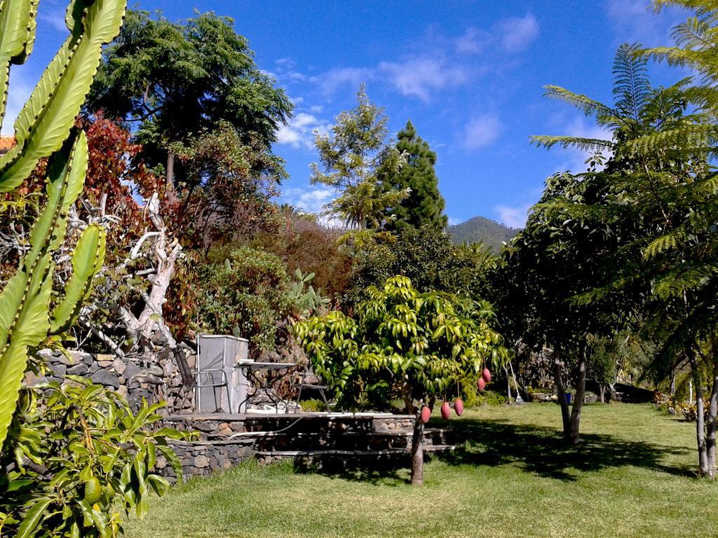 Feriendomizil Finca Tijarafe Mit Beheiztem, Abdeckbarem Pool Exteriör bild